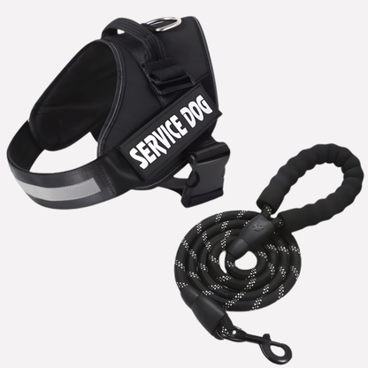 VierraSol | Arnés Personalizado para Perros Sin Tirones con Clip Frontal