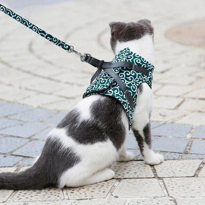 VierraSol | Bestseller: Arnés Antidesgarro para Gatos