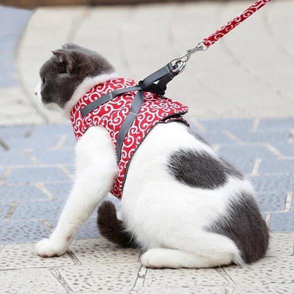 VierraSol | Bestseller: Arnés Antidesgarro para Gatos