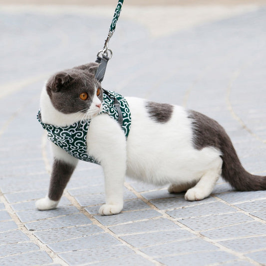 VierraSol | Bestseller: Arnés Antidesgarro para Gatos