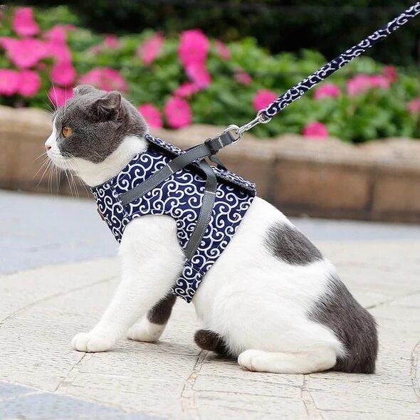 VierraSol | Bestseller: Arnés Antidesgarro para Gatos