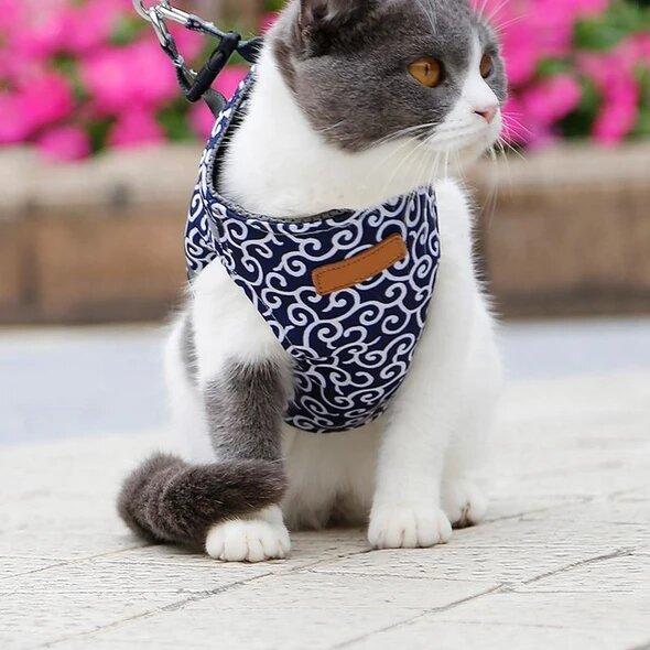 VierraSol | Bestseller: Arnés Antidesgarro para Gatos