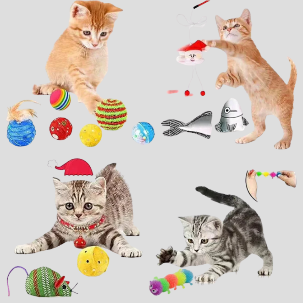 VierraSol | Calendario de Adviento para Gatos Set de Juguetes Interactivos de 24 Días