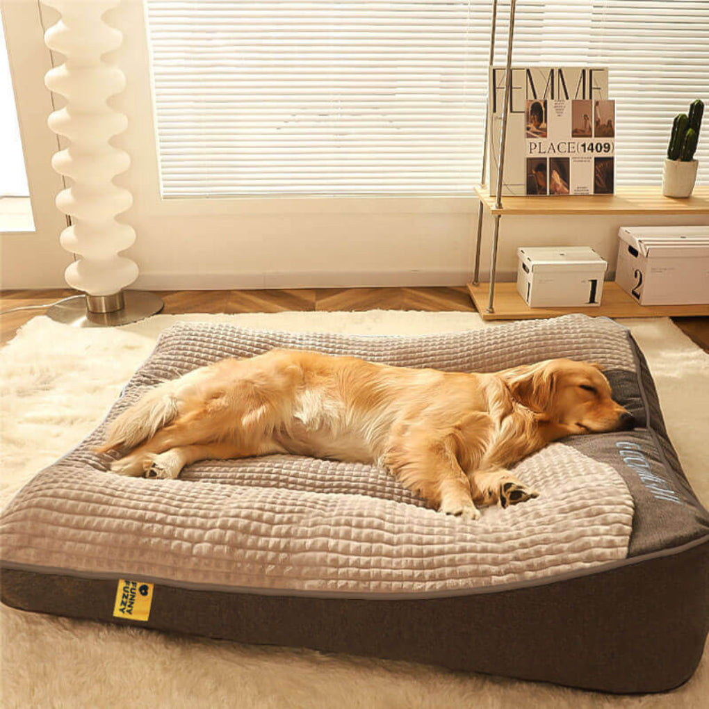 VierraSol | Cama Ortopédica para Perros con Cojín Soporte