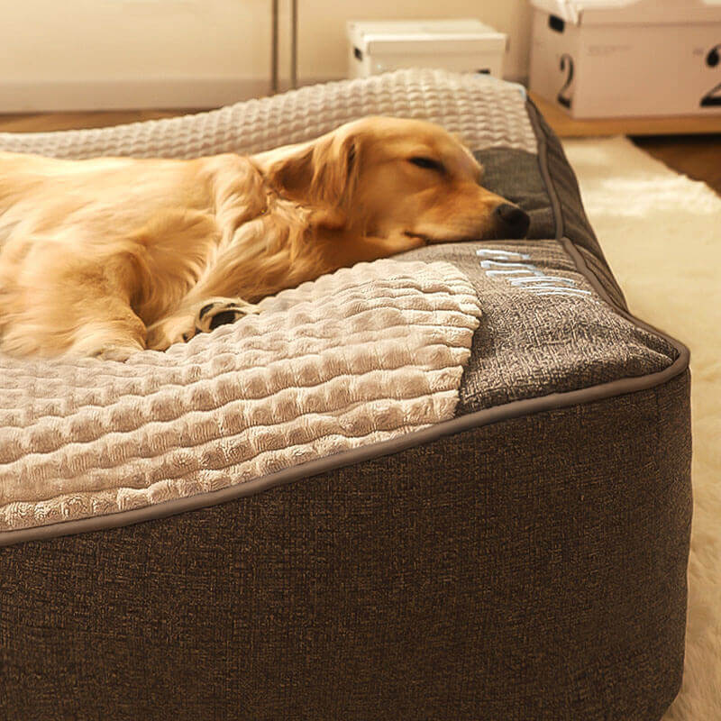 VierraSol | Cama para Perros Grande Resistente a Rasguños con Soporte Ortopédico para la Espalda