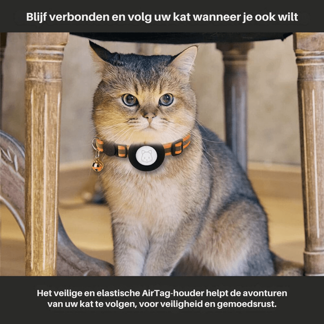 VierraSol | CATSAFE TRACK – Collar GPS para Seguridad y Visibilidad de Gatos