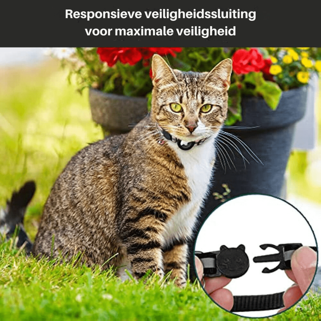 VierraSol | CATSAFE TRACK – Collar GPS para Seguridad y Visibilidad de Gatos