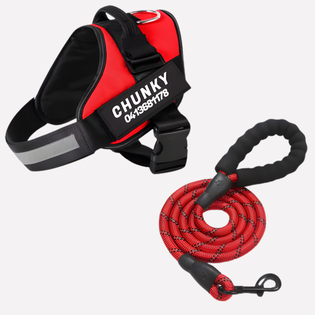 VierraSol | Chaleco Personalizable para Perros sin Tirones con Clip Frontal