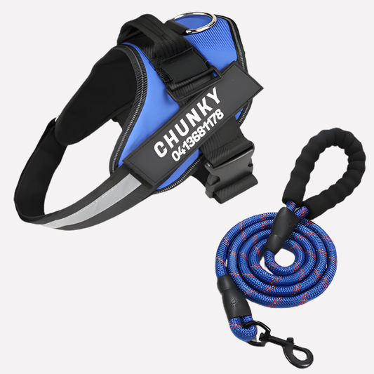 VierraSol | Chaleco Personalizable para Perros sin Tirones con Clip Frontal