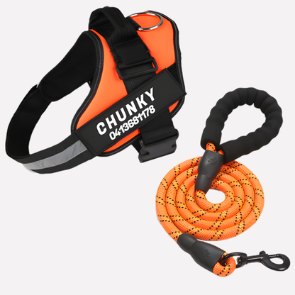 VierraSol | Chaleco Personalizable para Perros sin Tirones con Clip Frontal