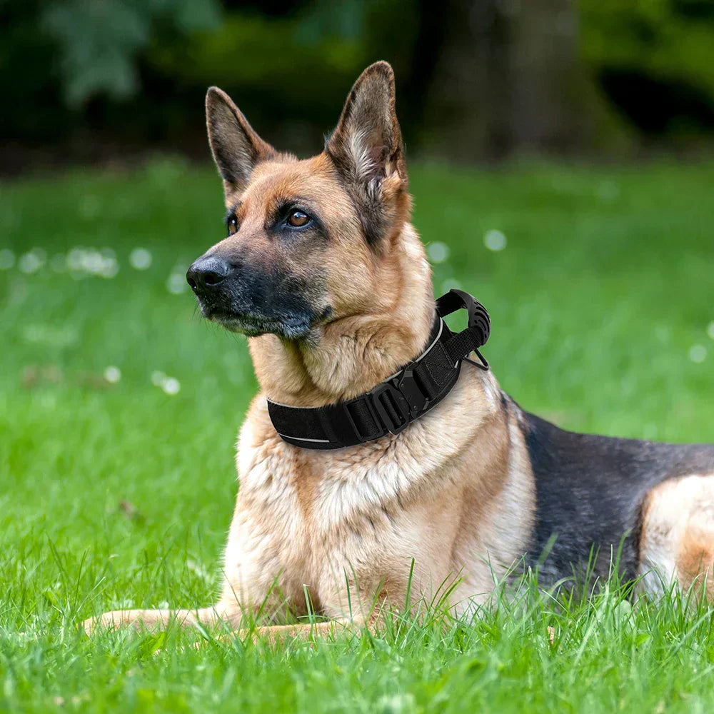 VierraSol | Collar de Entrenamiento Militar para Perros – Collar de Nylon Duradero y Reflectante
