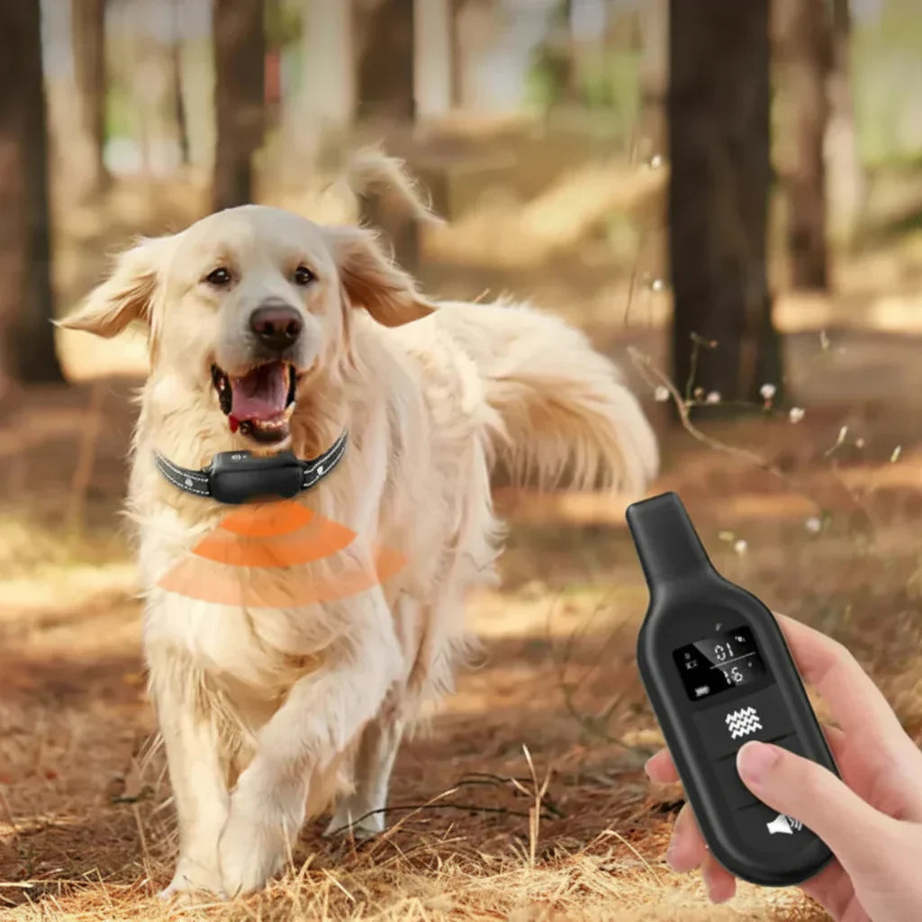 VierraSol | Collar de Entrenamiento Remoto para Perros con Control de Largo Alcance