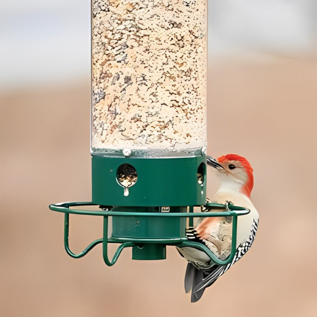 VierraSol | Comedero para Aves Resistente a Ardillas con Múltiples Puertos de Alimentación