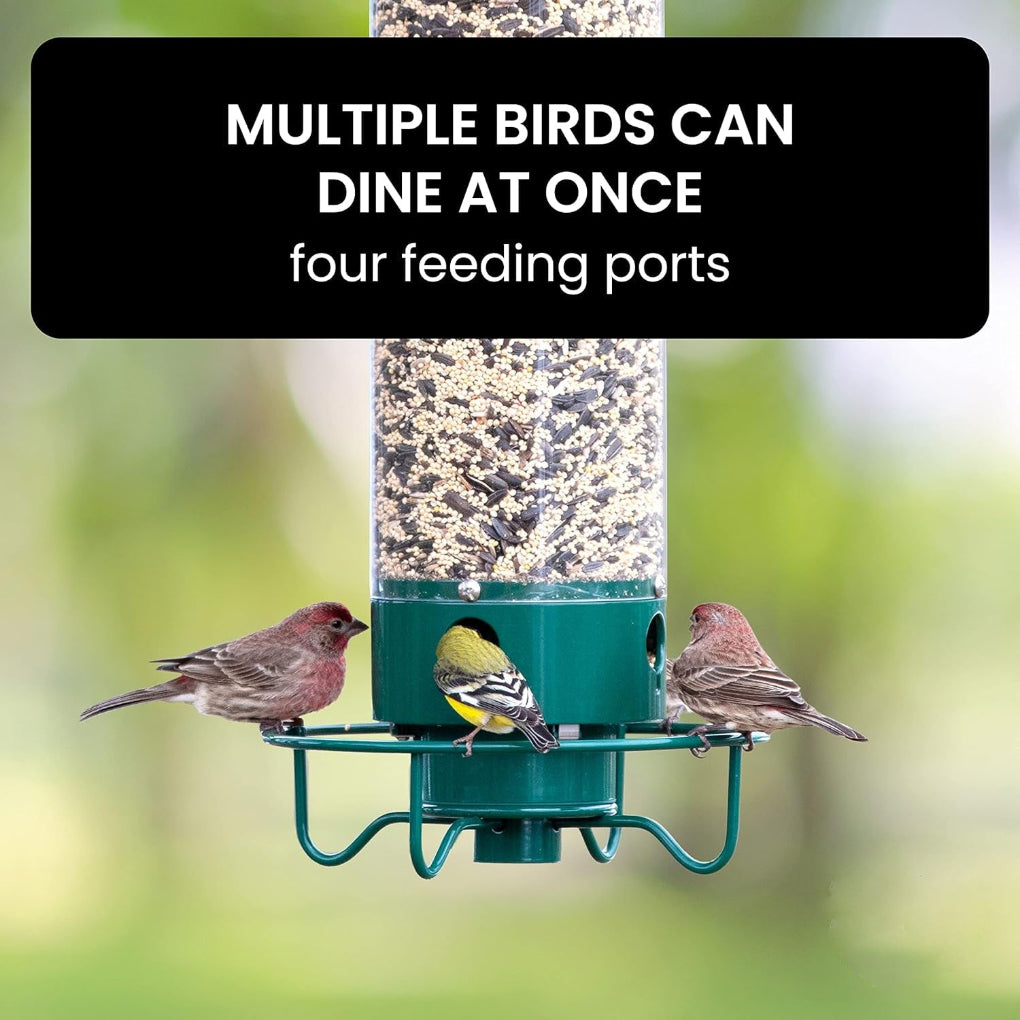 VierraSol | Comedero para Aves Resistente a Ardillas con Múltiples Puertos de Alimentación
