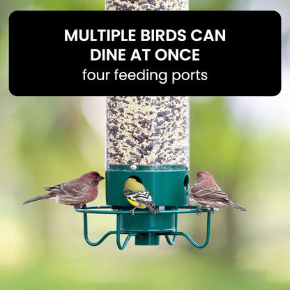 VierraSol | Comedero para Aves Resistente a Ardillas con Múltiples Puertos de Alimentación