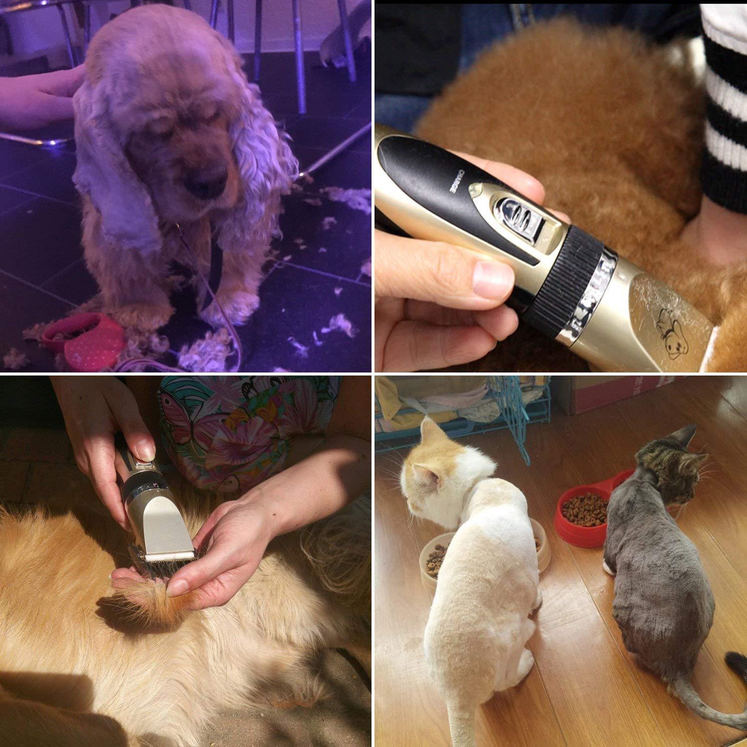 VierraSol | Cortadora Profesional Recargable para Perros y Gatos