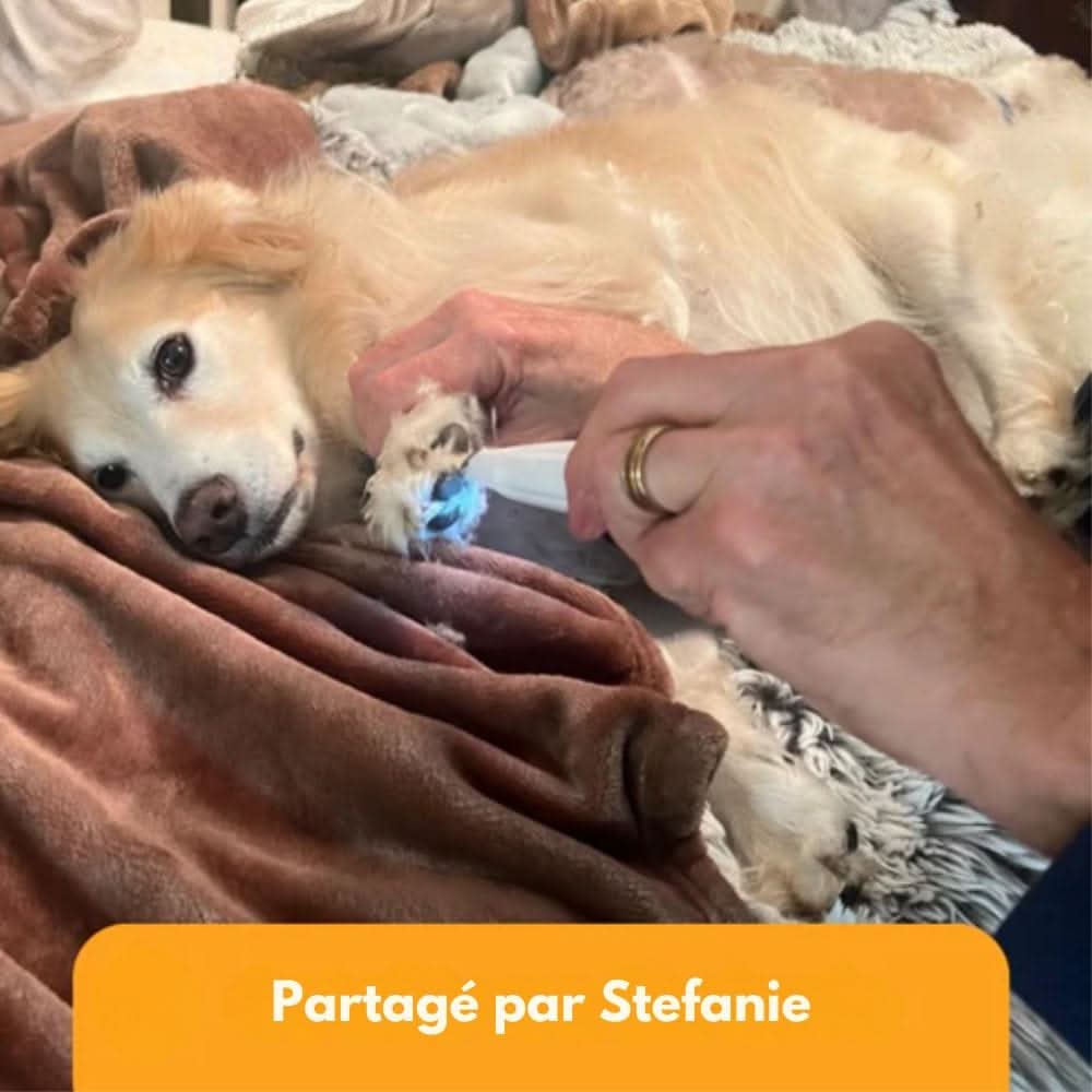 VierraSol | Cortadora SilentPet – Cortadora silenciosa de pelo para áreas sensibles en perros y gatos