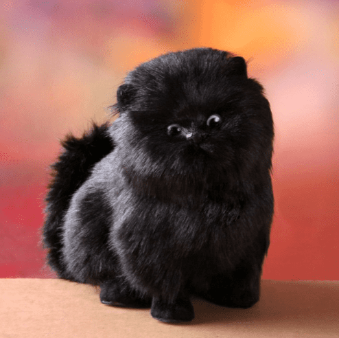VierraSol | Encantador, eléctrico, juguete interactivo de peluche en forma de gatito