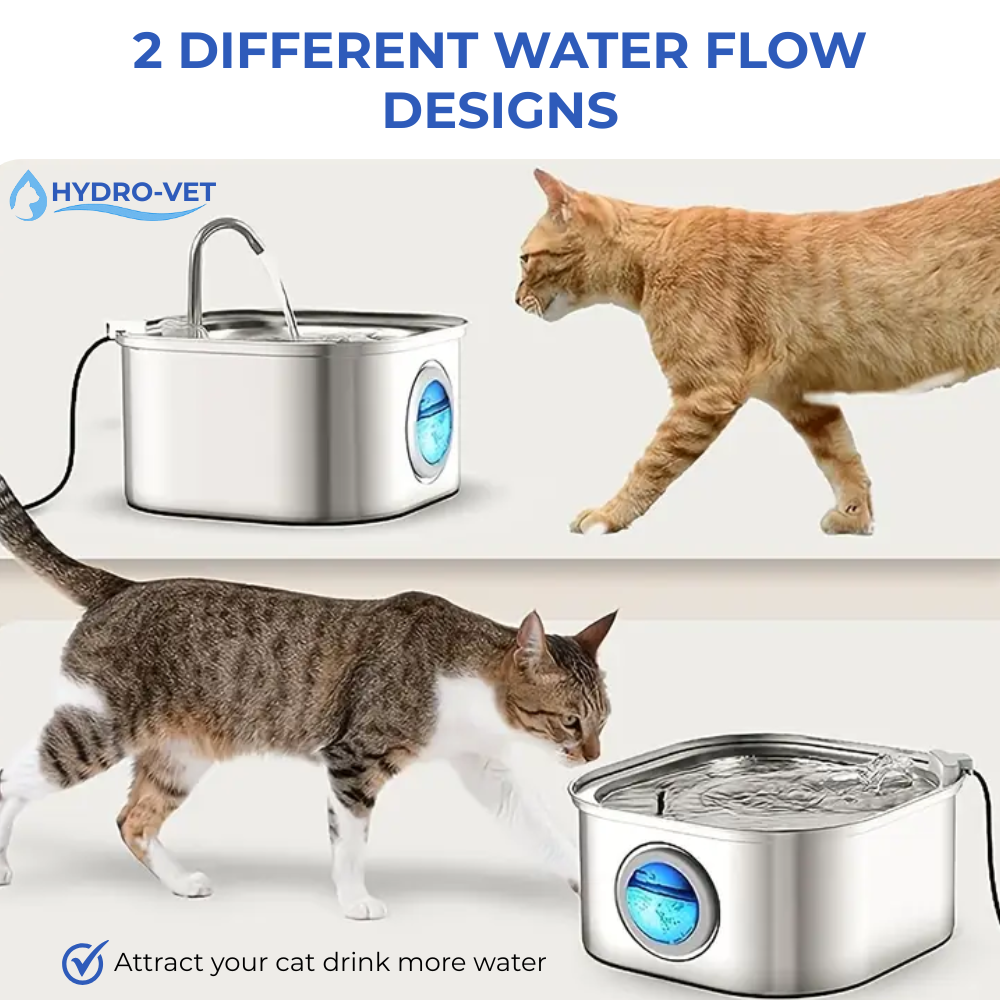 VierraSol | Fuente de Agua para Mascotas AquaSoft Whisper Quiet – 3.2L con LED, Acero Inoxidable y Filtración de 5 Etapas