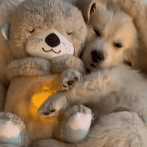 VierraSol | Juguete de Confort de Conejo de Peluche con Brillo Suave