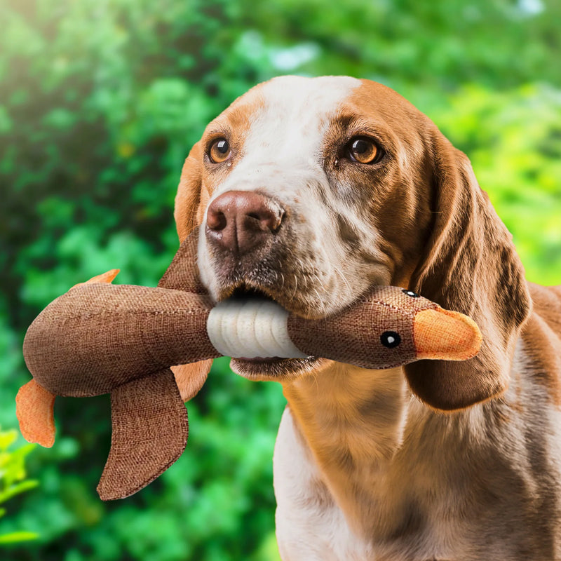 VierraSol | Juguete de Perro de Peluche en Forma de Pato para Juego Interactivo