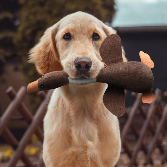 VierraSol | Juguete de Perro de Peluche en Forma de Pato para Juego Interactivo