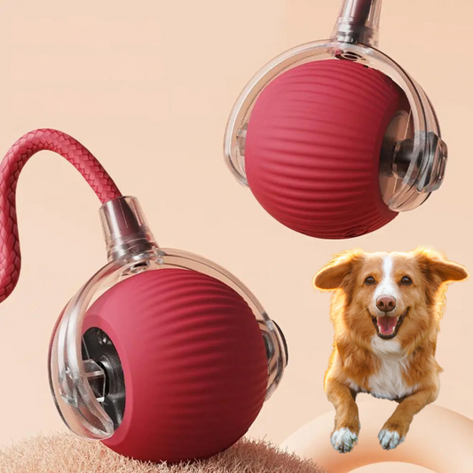 VierraSol | Juguete Interactivo de Bola Rodante con Cola para Perros