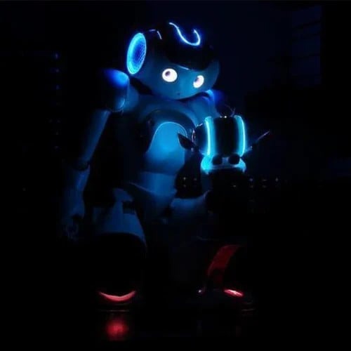 VierraSol | Juguete Robot Inteligente para Niños | Robot de Aprendizaje Interactivo ThinkBot | Control por Gestos | Baile y Conversación | Recargable