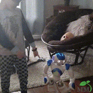 VierraSol | Juguete Robot Inteligente para Niños | Robot de Aprendizaje Interactivo ThinkBot | Control por Gestos | Baile y Conversación | Recargable