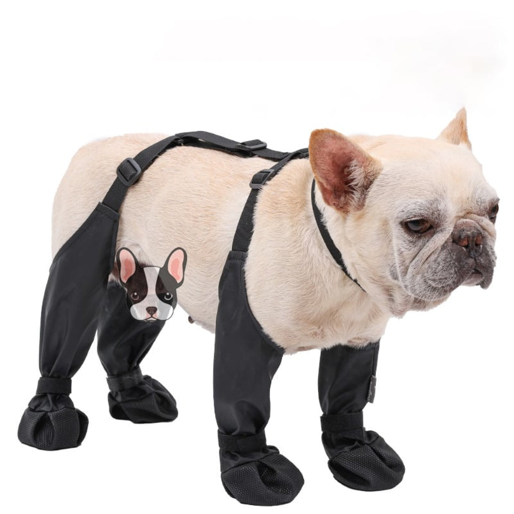 VierraSol | Leggings para Perros con Protección para Patas