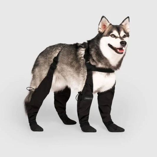 VierraSol | Leggings para Perros con Protección para Patas