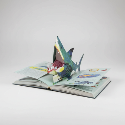 VierraSol | Libro Pop-up 3D Dinosaurios