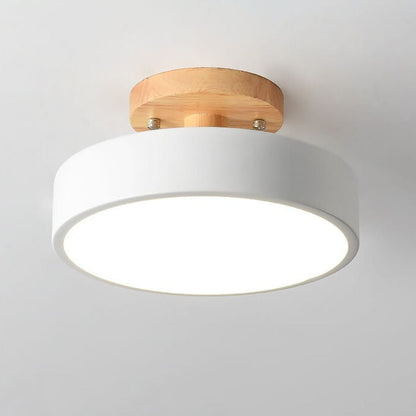 VierraSol | Luz de Techo LED | LED Integrado con Selección de Temperatura de Color