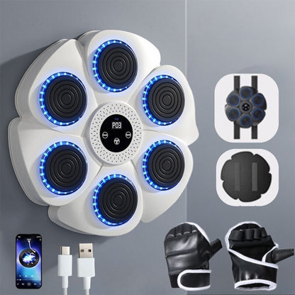 VierraSol | Máquina de Boxeo Inteligente Interactiva - PunchTech
