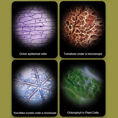 VierraSol | Microscopio Portátil para Jóvenes Exploradores