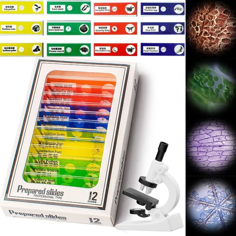 VierraSol | Microscopio Portátil para Jóvenes Exploradores