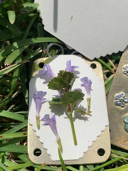 VierraSol | Mini Prensa de Flores | Creador de Recuerdos Botánicos Compacto | Herramienta de Manualidades Portátil