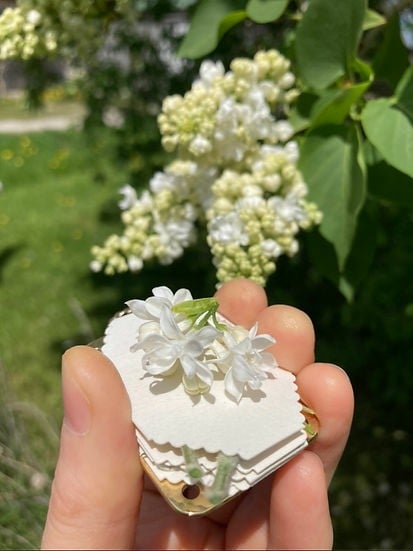 VierraSol | Mini Prensa de Flores | Creador de Recuerdos Botánicos Compacto | Herramienta de Manualidades Portátil