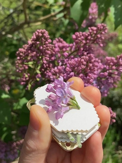 VierraSol | Mini Prensa de Flores | Creador de Recuerdos Botánicos Compacto | Herramienta de Manualidades Portátil