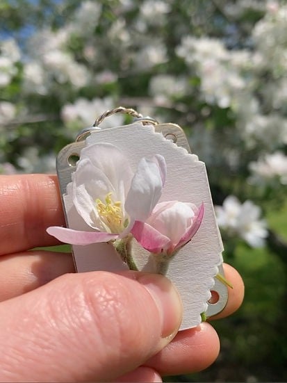 VierraSol | Mini Prensa de Flores | Creador de Recuerdos Botánicos Compacto | Herramienta de Manualidades Portátil