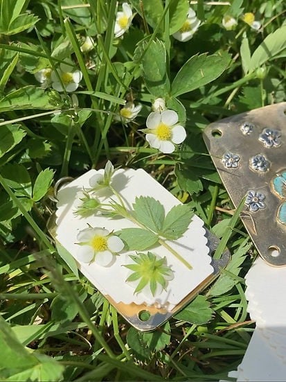 VierraSol | Mini Prensa de Flores | Creador de Recuerdos Botánicos Compacto | Herramienta de Manualidades Portátil