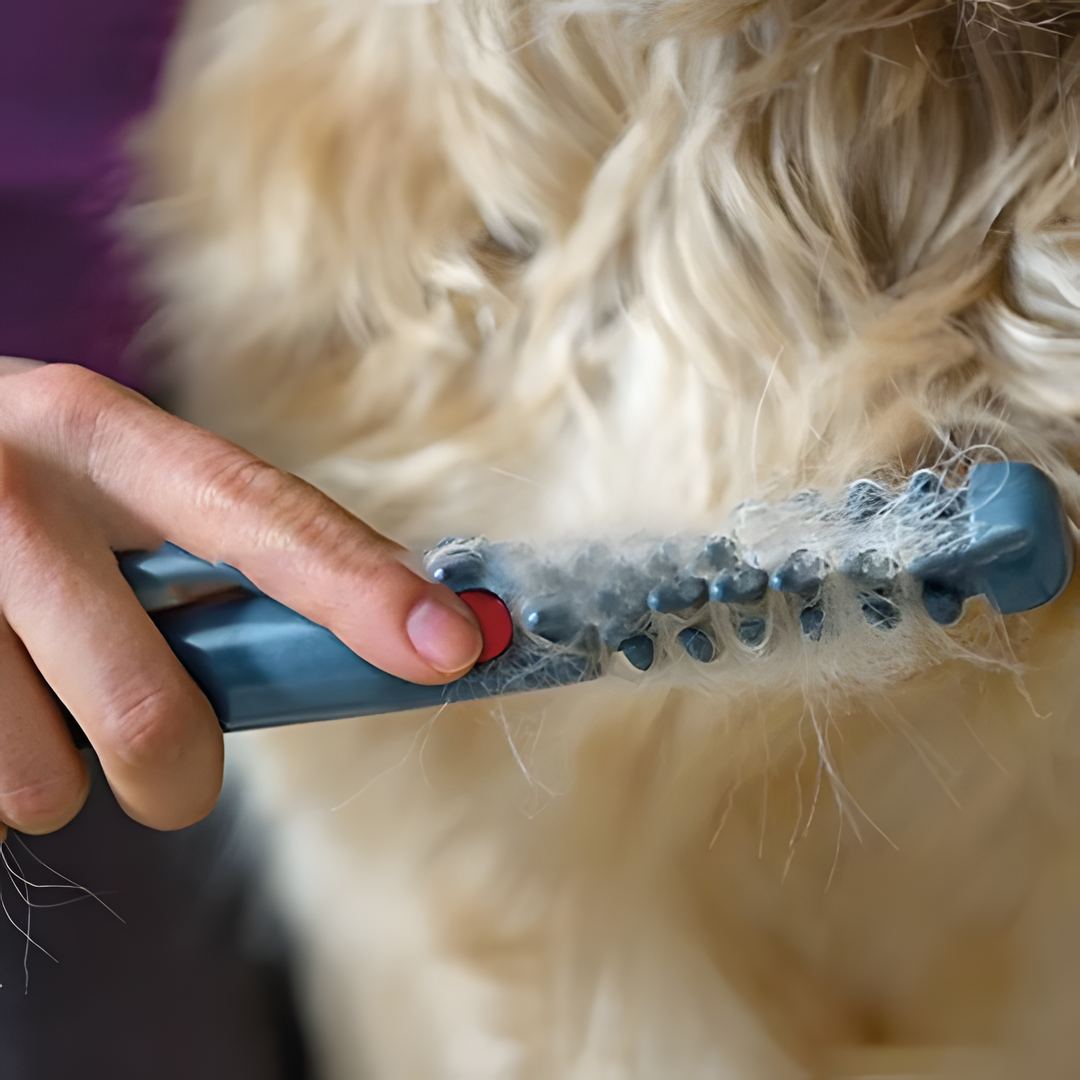 VierraSol | No más nudos y enredos para tu mascota