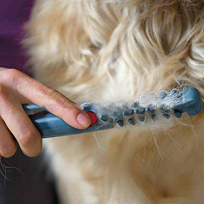 VierraSol | No más nudos y enredos para tu mascota