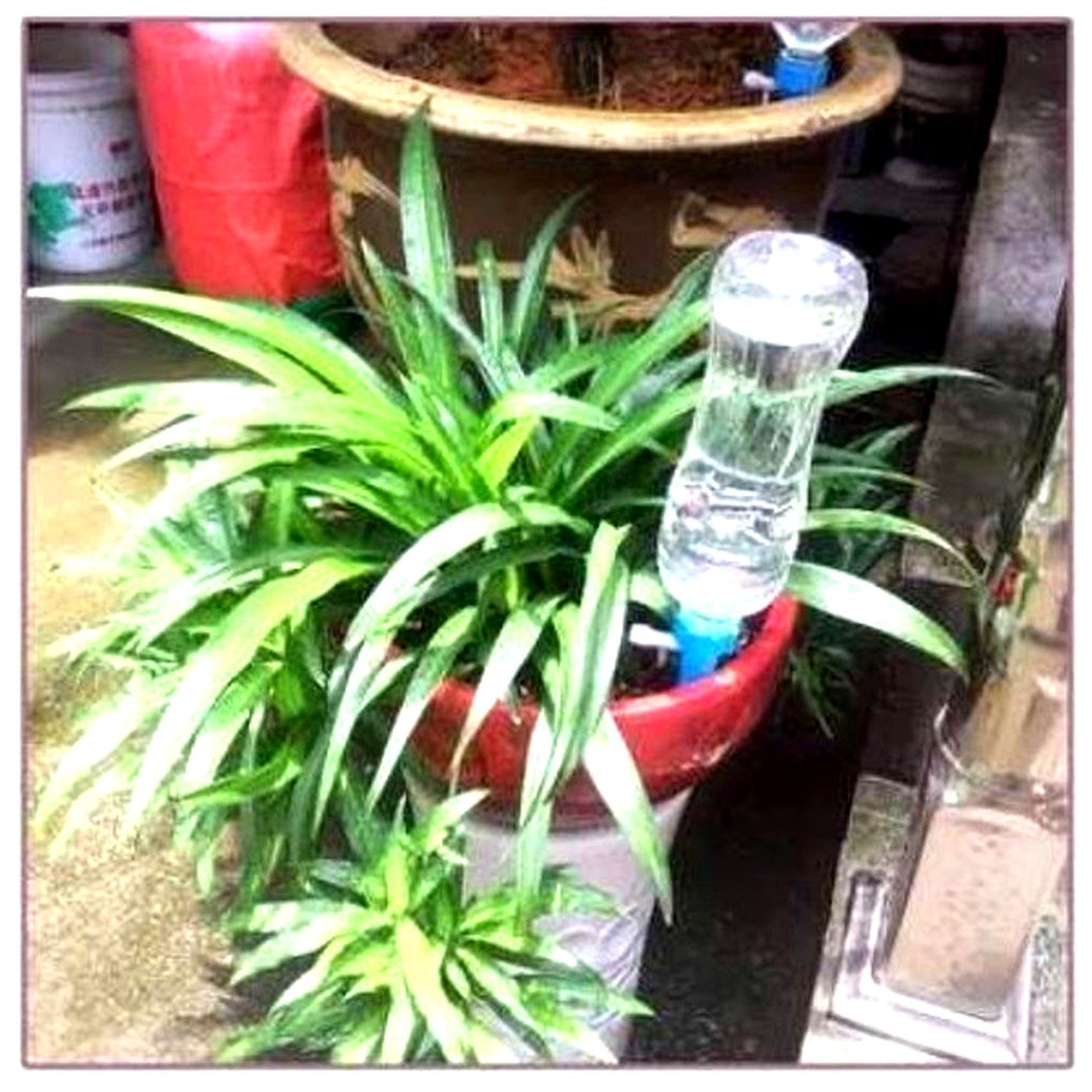VierraSol | Picos Automáticos de Riego para Plantas - Ayuda de Jardinería de Flujo Ajustable