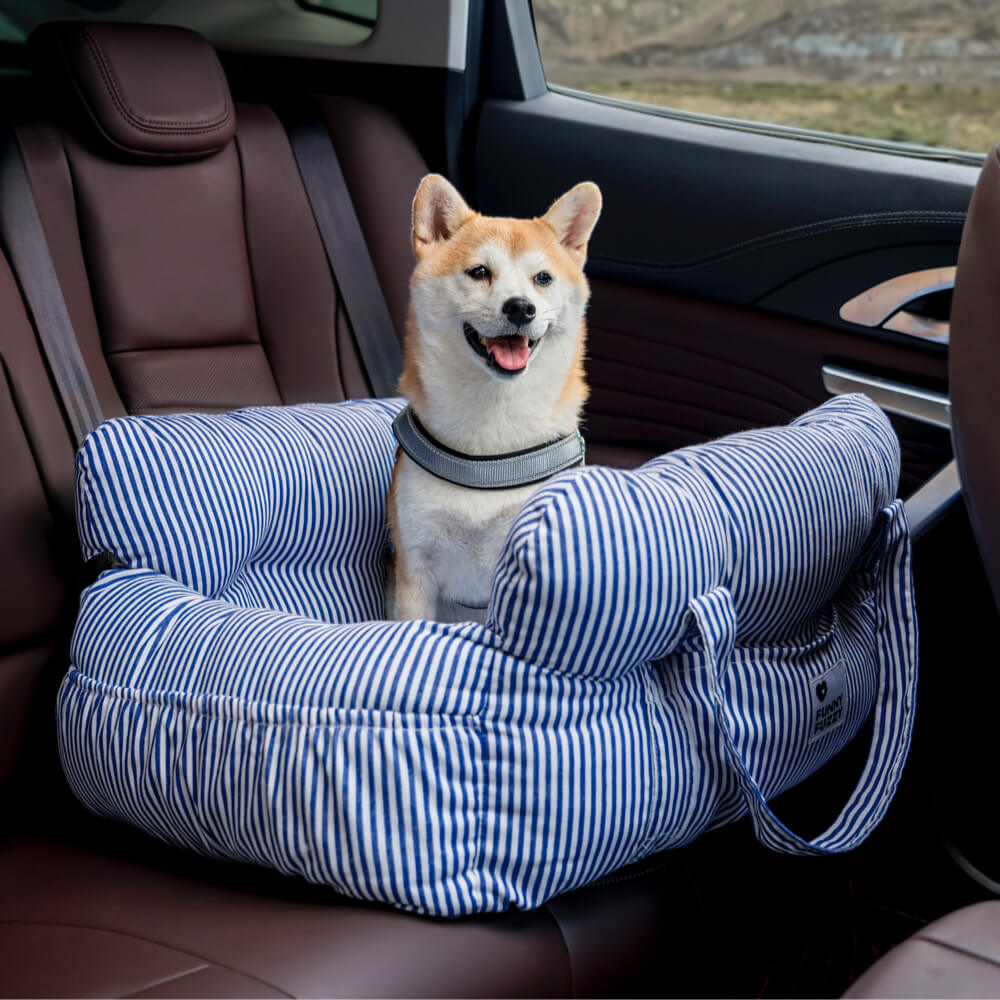 VierraSol | Refuerzo para Mascotas - Refuerzo para Viajes en Coche