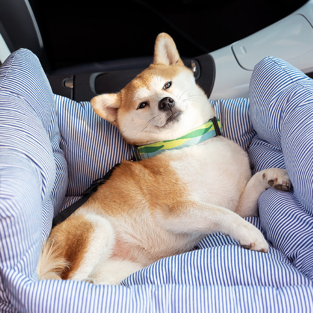 VierraSol | Refuerzo para Mascotas - Refuerzo para Viajes en Coche