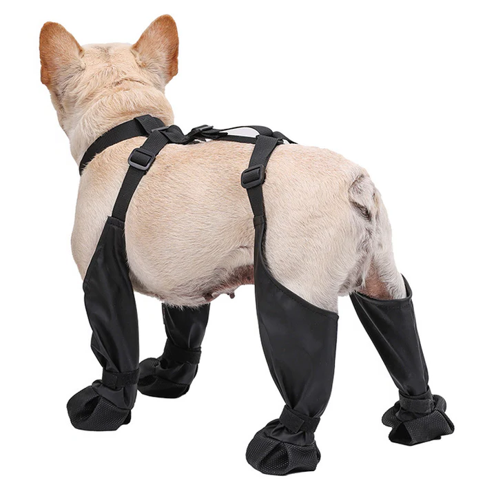 VierraSol | Zapatos Ajustables para Perros | Transpirables, Impermeables y Antideslizantes